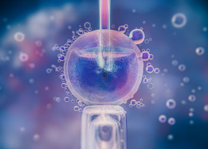 Ic Injection Meaning Intracytoplasmic Injection | Doren Fertility Centre
