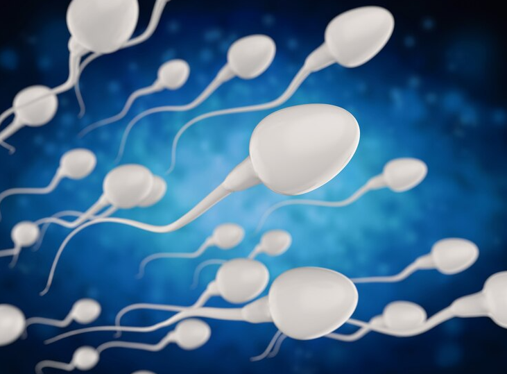 Sperm Donation