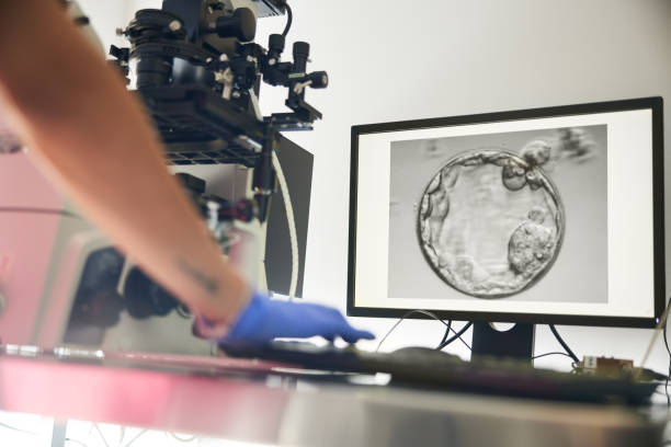 Age and IVF: The Primary Determinant of IVF Success Rates