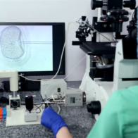 Donor Egg IVF for Women Over 45: Success Rates & Costs (2026)