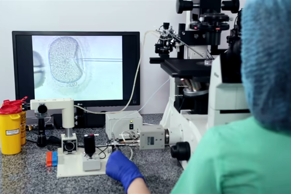 Donor Egg IVF for Women Over 45: Success Rates & Costs (2026)